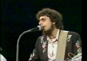 David Bromberg Band