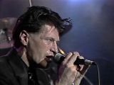 Herman Brood