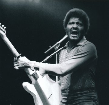 Albert Collins Foto WDR/M.Becker