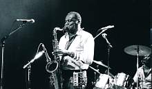 Albert Collins Ice Breakers