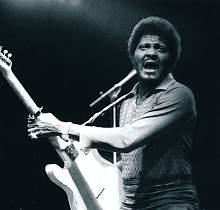 Albert Collins Ice Breakers