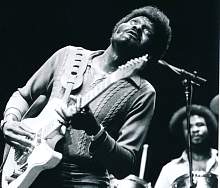 Albert Collins Ice Breakers